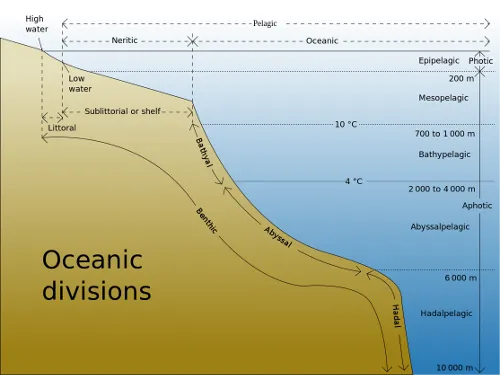 Diagram showing the divisions of the world's oceans.