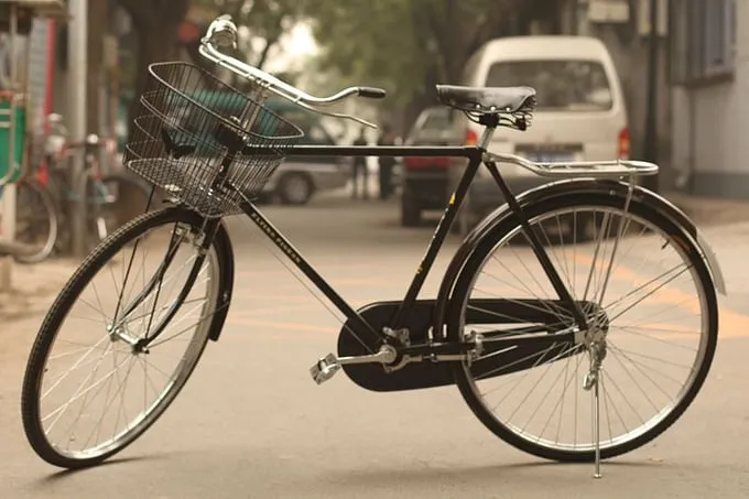 The Wondrous Bicycle