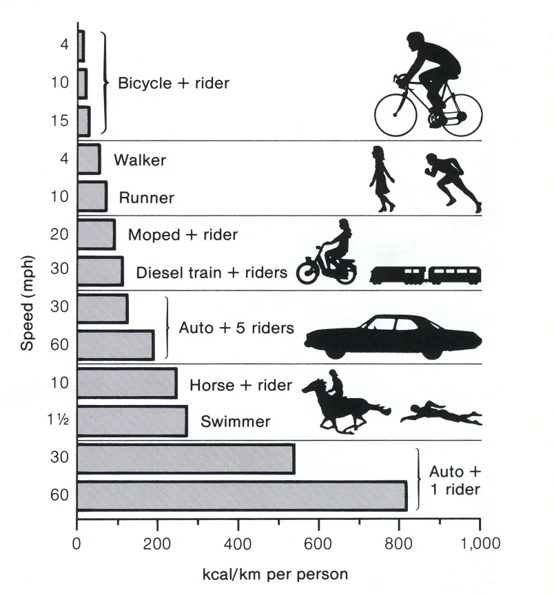 Car vs Bicycle