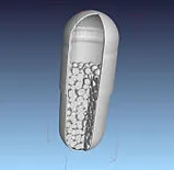 Capsule Section