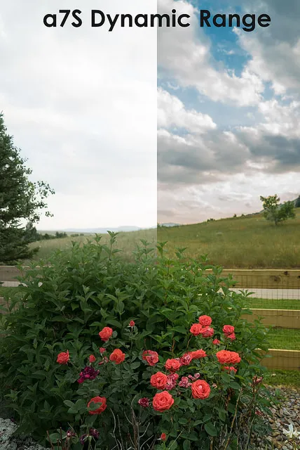 Dynamic Range