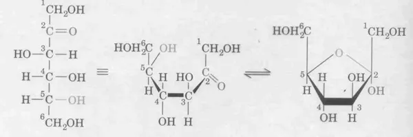 Fructose Molecule