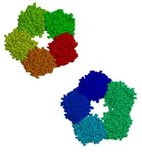 c-reactive protein