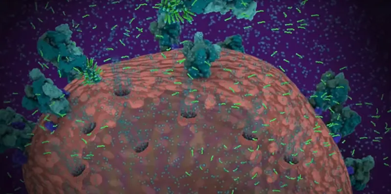 soap kills coronavirus