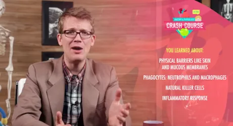 innate immune system