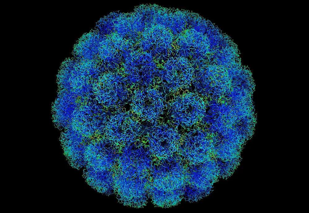 Virus